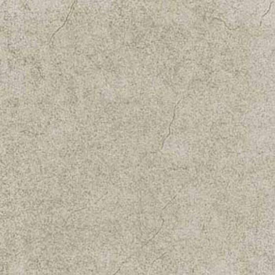 Desert Grey