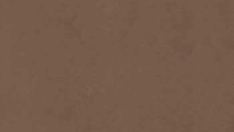 Fog Bronce