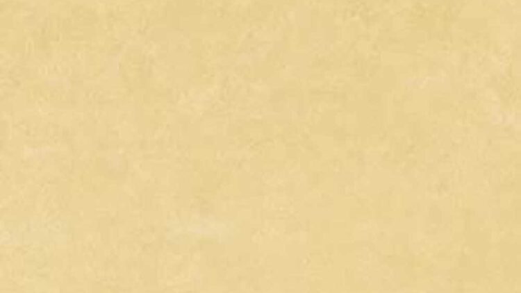 Fog Crema
