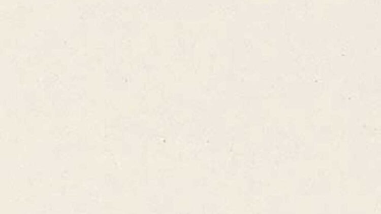 Satin Marfil