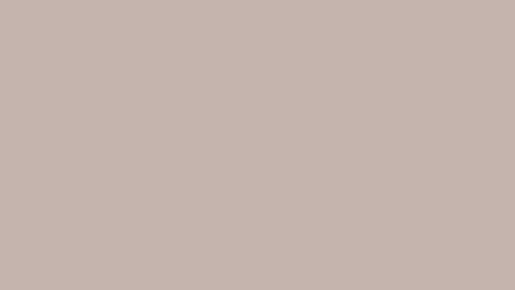 Cool Taupe