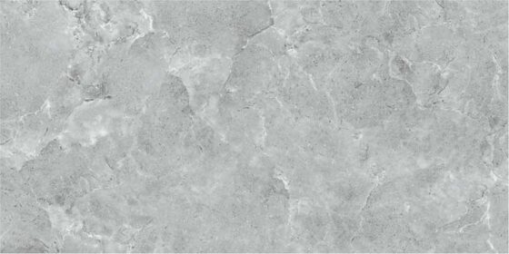 Tolosa Grey