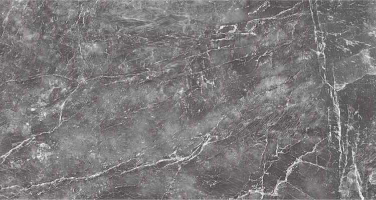 Empredor Gris