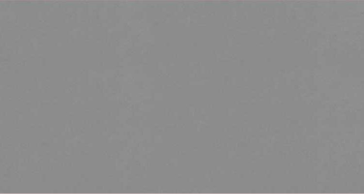 Bristol Gris