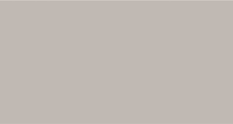 Bristol Taupe
