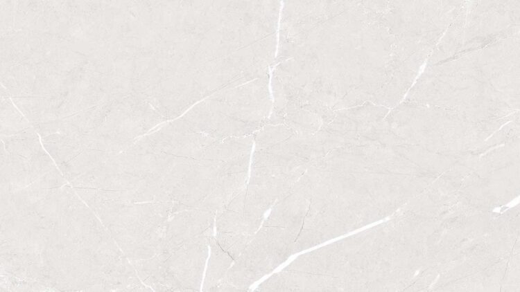 Altroz Grey