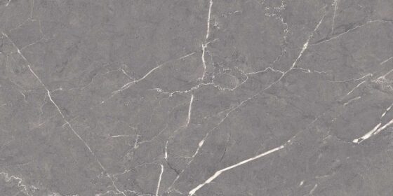 Altroz Gris