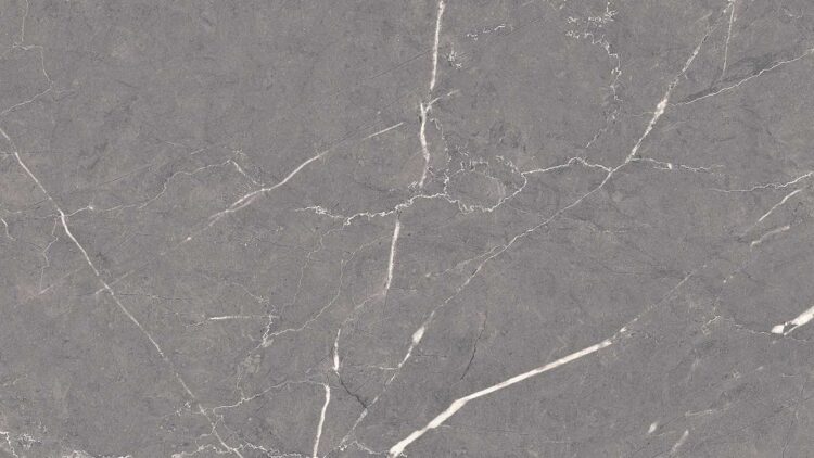Altroz Gris