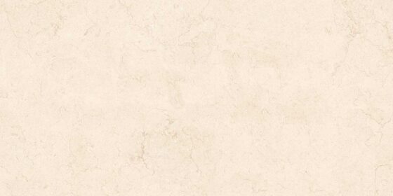 Elegant Beige