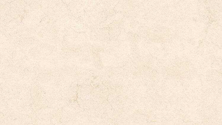 Elegant Beige
