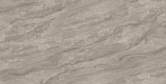 Dyno Taupe