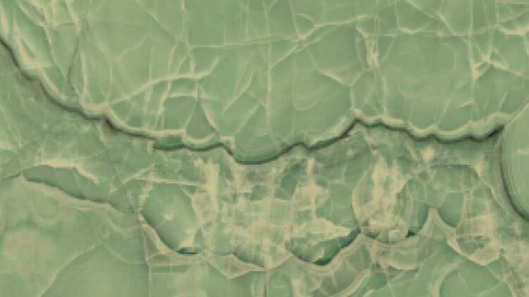 Ebony Verde