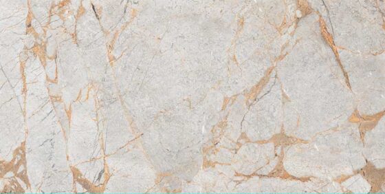 Fortuna Grey