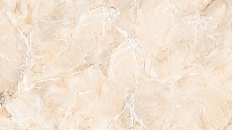 Oyster Beige