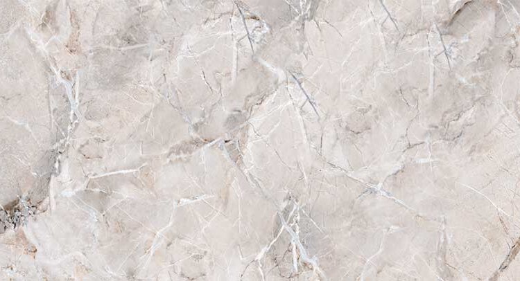 Oyster Grey