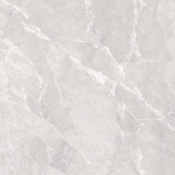 Venchy Grey