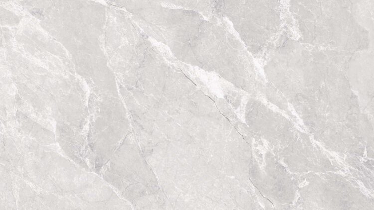 Venchy Grey