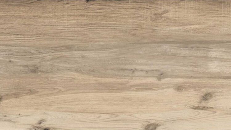Akita Pine