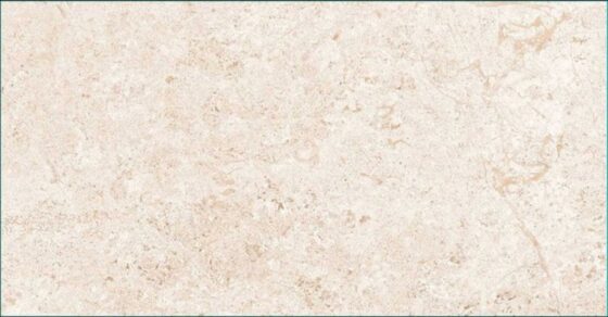 Era Beige