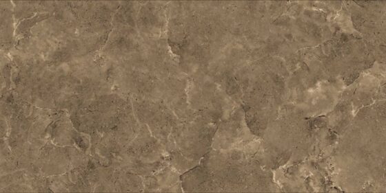 Tolosa Bronze