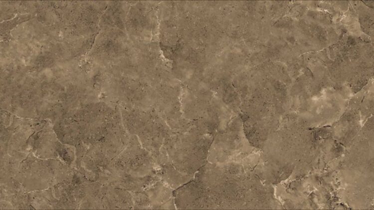 Tolosa Bronze