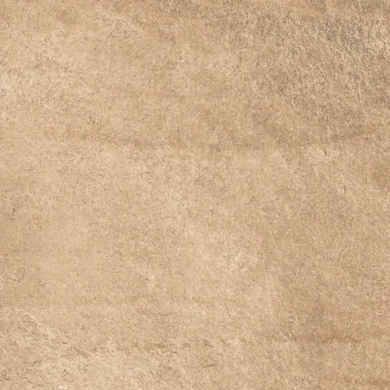 Pacific Brown