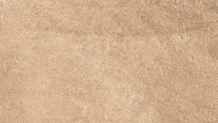 Pacific Brown