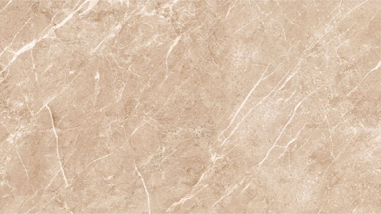 Latino Taupe