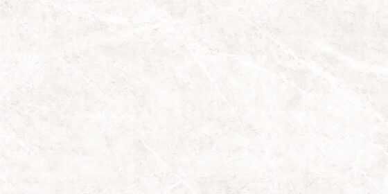 Lykra Silver