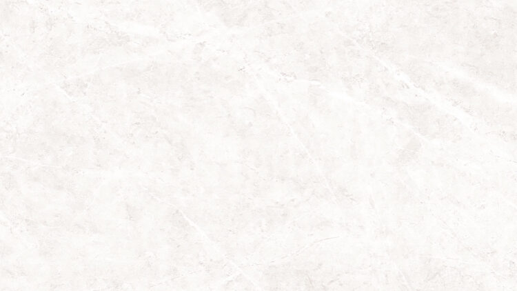 Lykra Silver