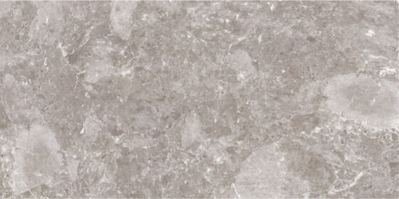 Moon Grey