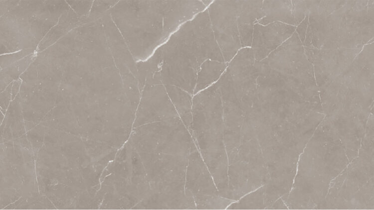 Stellen Grey