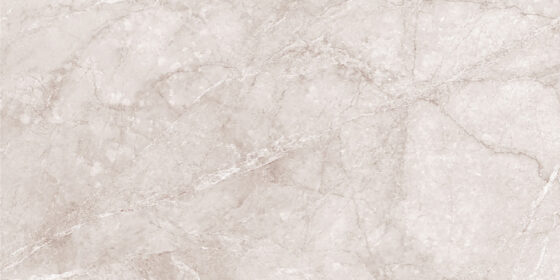 Venchy Grey
