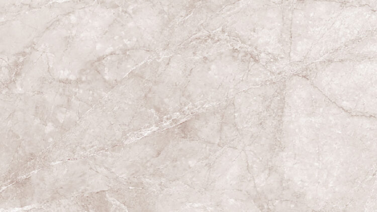 Venchy Grey