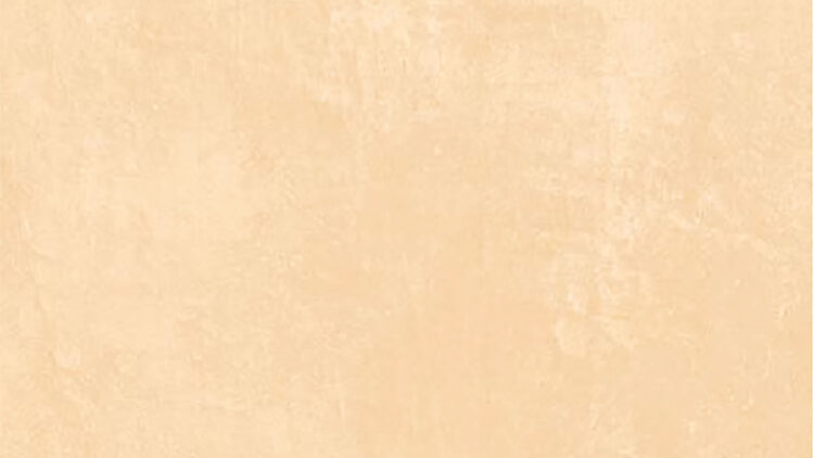 Dyson Beige