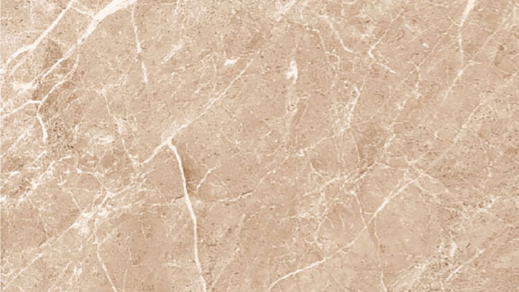Latino Taupe