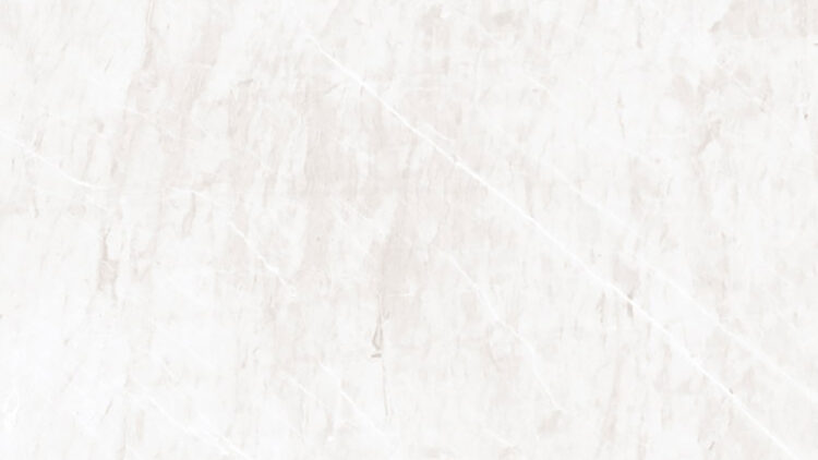 Lykra Silver