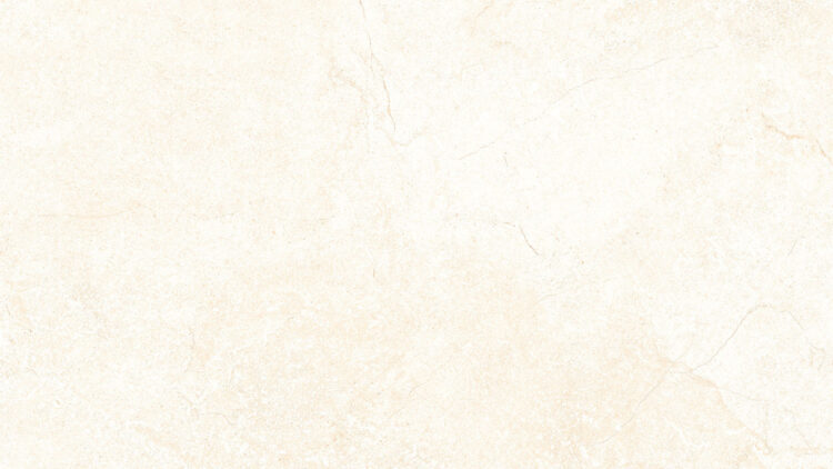 Tulip White