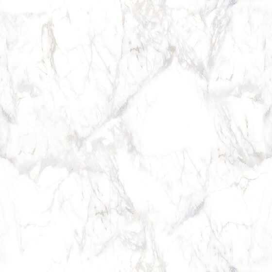 Carrara Snow Beyond