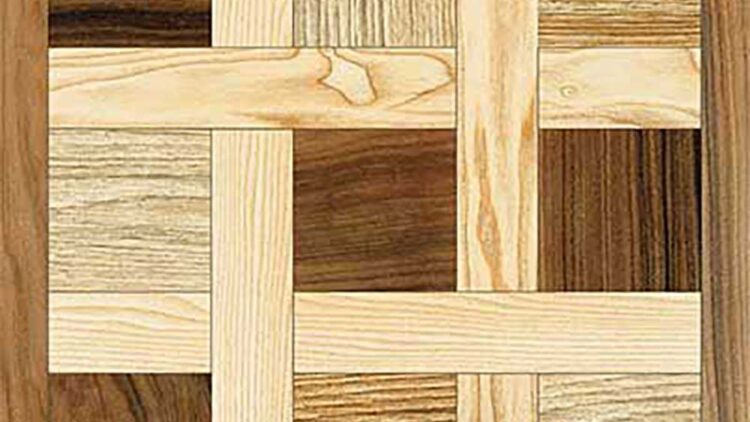 Corsican Pine