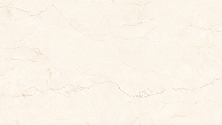 Vatican Marfil