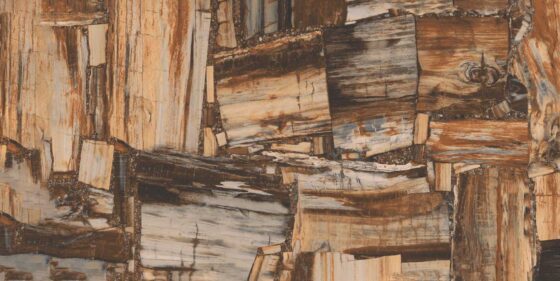 Trieste Gold Wood