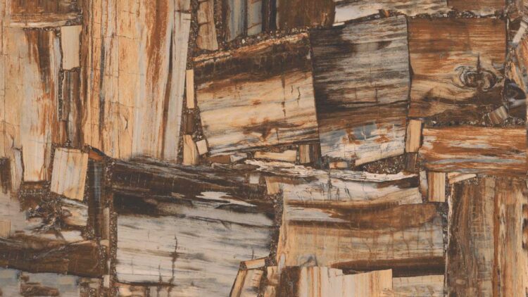 Trieste Gold Wood