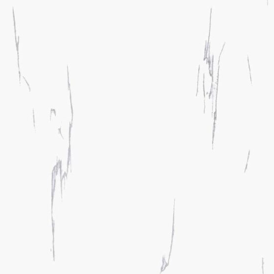 Venito White Marble