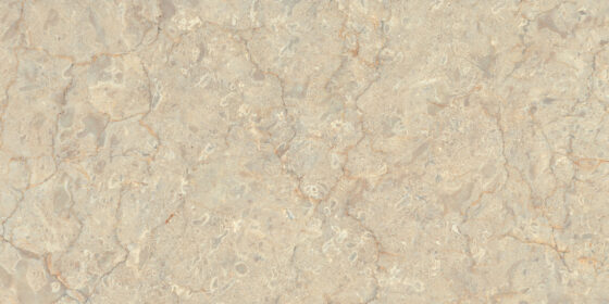 Cavalor Copper
