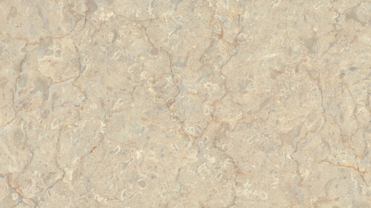 Cavalor Copper