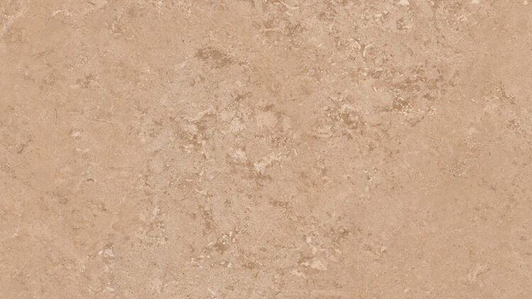 Auckland Copper