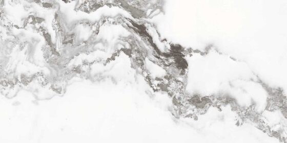 Hudson Snow