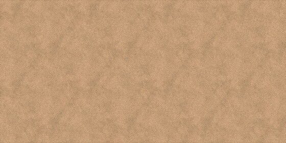 Turtle Beige