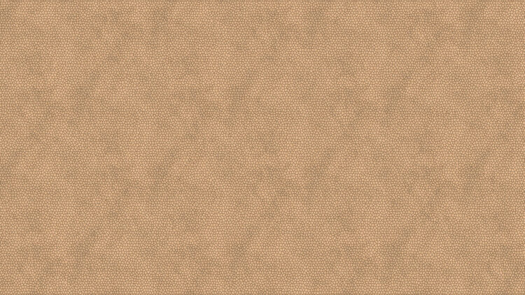 Turtle Beige